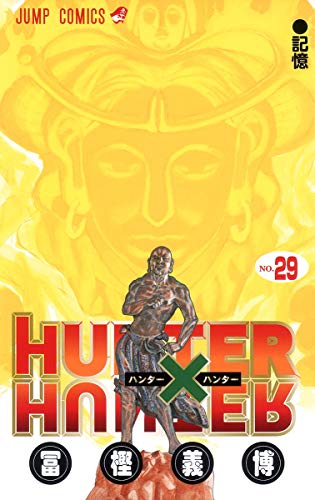 HUNTER×HUNTER 29 - 冨樫義博