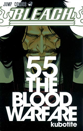 BLEACH 55 - 久保帯人