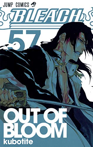 BLEACH 57 - 久保帯人