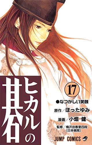 ヒカルの碁 17 - ほったゆみ×小畑健