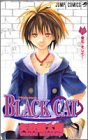Black cat 10