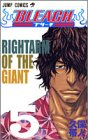 Bleach 5