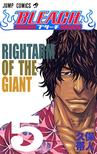BLEACH 5 - 久保帯人