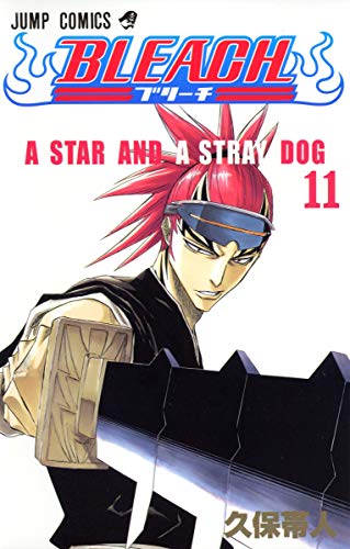 BLEACH 11 - 久保帯人