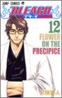 Bleach 12