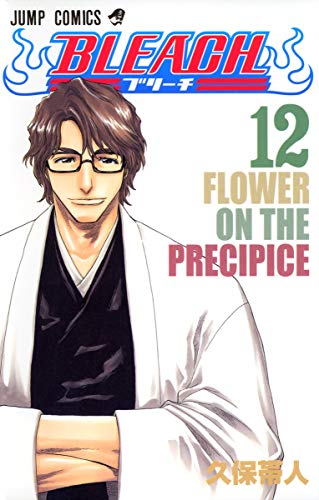 BLEACH 12 - 久保帯人