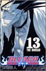Bleach 13