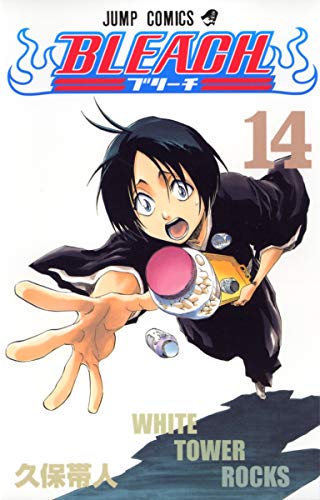 BLEACH 14 - 久保帯人