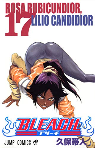 BLEACH 17 - 久保帯人