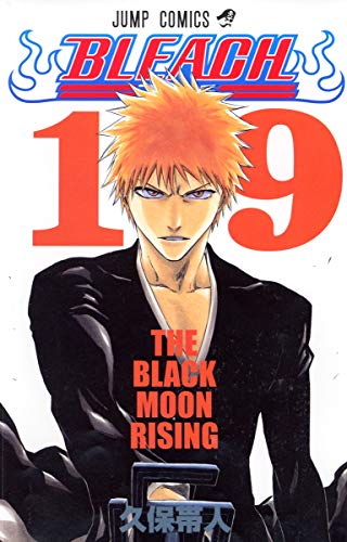 BLEACH 19 - 久保帯人