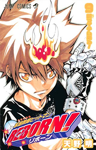 家庭教師ヒットマンreborn! 9(新アイテム来る!)