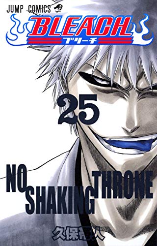 BLEACH 25 - 久保帯人