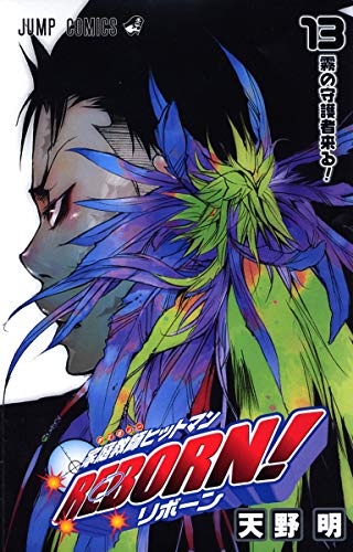 家庭教師ヒットマンreborn! 13(霧の守護者来る!)