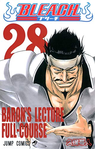 BLEACH 28 - 久保帯人