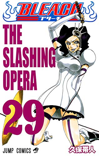 BLEACH 29 - 久保帯人