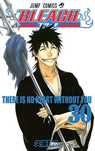 BLEACH 30 - 久保帯人