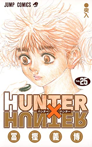 HUNTER×HUNTER 25 - 冨樫義博