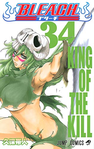 BLEACH 34 - 久保帯人