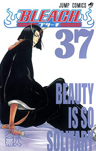 BLEACH 37 - 久保帯人