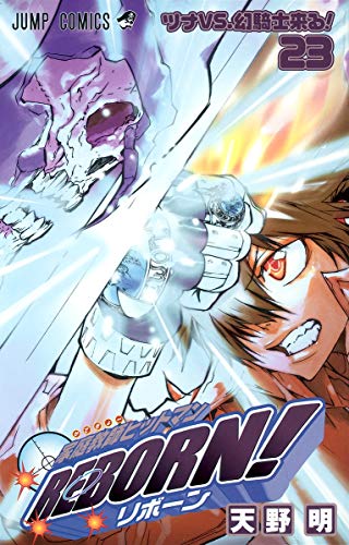 家庭教師(かてきょー)ヒットマンreborn! 23 (ツナVS.幻騎士来る!)