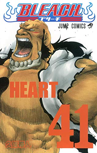 BLEACH 41 - 久保帯人