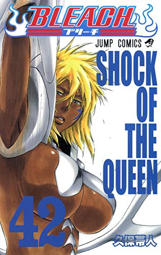 BLEACH 42 - 久保帯人