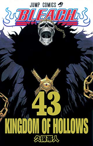 BLEACH 43 - 久保帯人