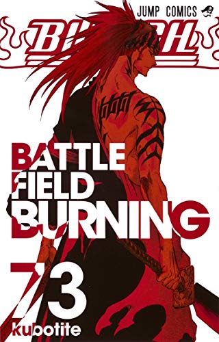 BLEACH 73 - 久保帯人