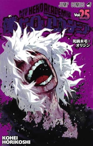僕のヒーローアカデミア 25 - 堀越耕平