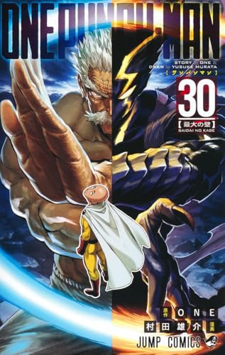 ワンパンマン 30 - ONE・村田雄介