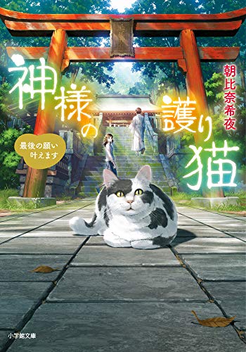 神様の護り猫