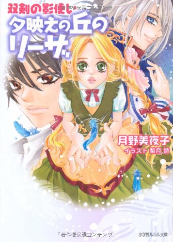 双剣の影使い ~夕映えの丘のリーザ~