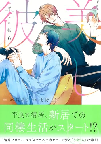 美しい彼 6巻