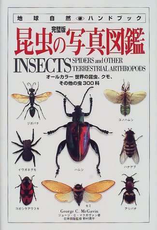 Insects, Spiders and Other Terrestrial Arthropods book cover