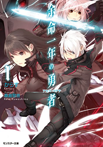 余命一年の勇者