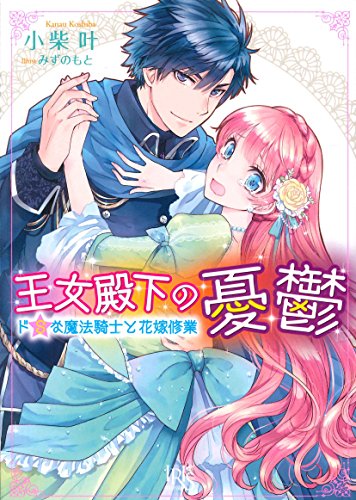 王女殿下の憂鬱