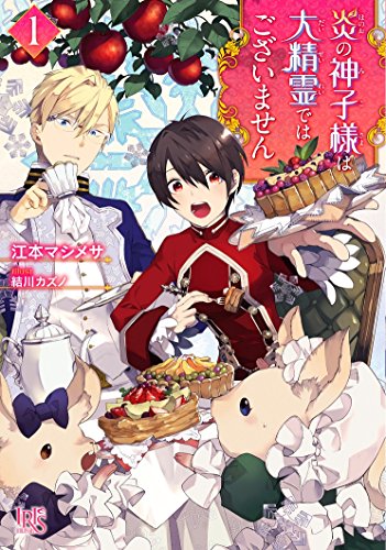 炎の神子様は大精霊ではございません