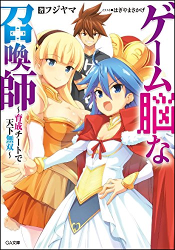 ゲーム脳な召喚師