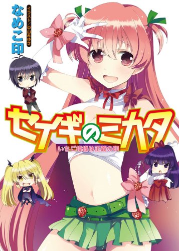 セイギのミカタ