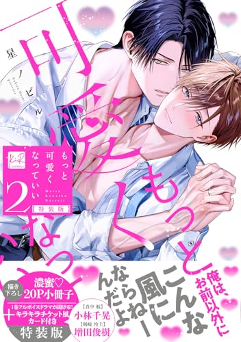 もっと可愛くなっていい 小冊子＆ボイス付特装版 2巻