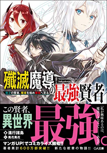 殲滅魔導の最強賢者