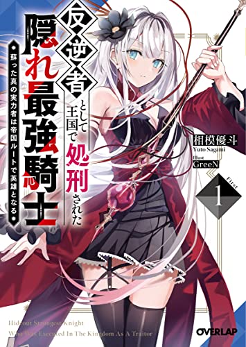 反逆者として王国で処刑された隠れ最強騎士