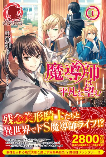 魔導師は平凡を望む