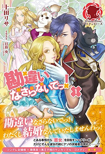 勘違いなさらないでっ!