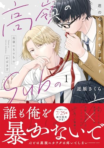 高嶺のSubのあばき方 ～君の心をとかすコマンド～
