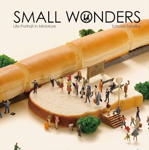 Small Wonders - Life Portrait in Miniature book cover