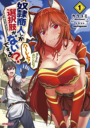 奴隷商人しか選択肢がないですよ? ~ハーレム? なにそれおいしいの?~