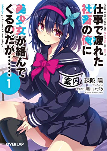 仕事で疲れた社畜の俺に美少女が絡んでくるのだが……