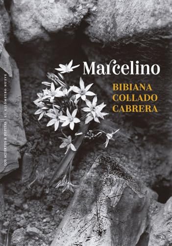 Read Marcelino: Decires de un hombre