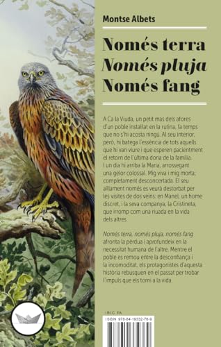 Read Només terra, només pluja, només fang